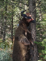 justin and  bear.JPG