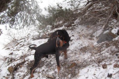 Copy of 101_0604.jpg