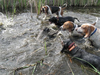 Copy of Picture 091.jpg