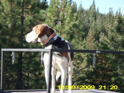 diamond [640x480].JPG