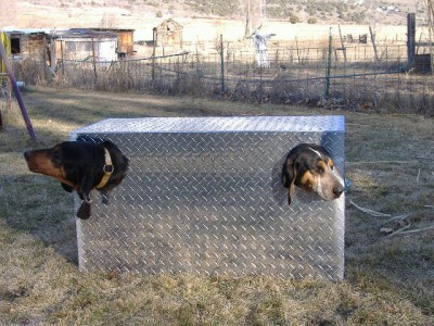 snowmobile and 4 wheeler boxes march 14  10 014.jpg