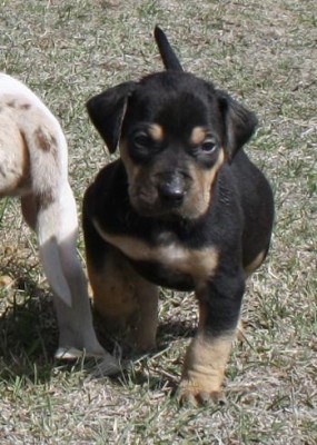 Picture5479687 012.JPG