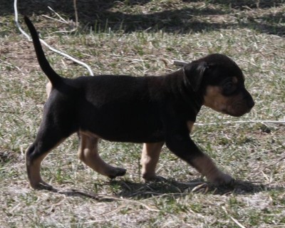 Picture5479687 020.JPG