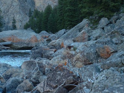 This is not from that day, but thought I would include this pic of the bottom of the canyon. my dogs were at the top of that steep rock face in the background that day.