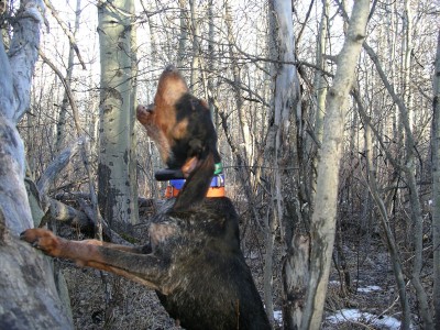 Rosie Waterton Park.jpg