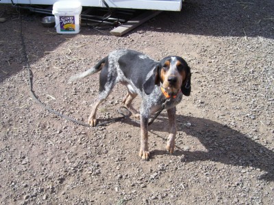 This is blue bought him from eric in utah