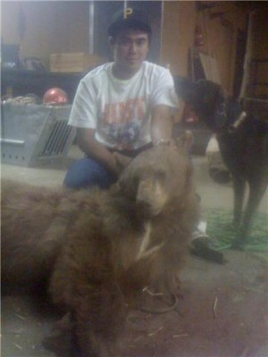 BEAR WITH BOW LAST TUES.. WITH DOGS