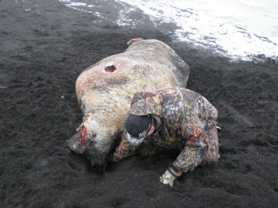 P5020031 [800x600].jpg