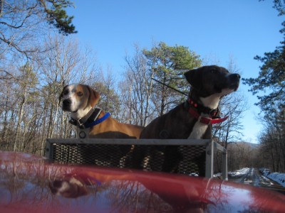 IMG_0166 (1000 x 750).jpg