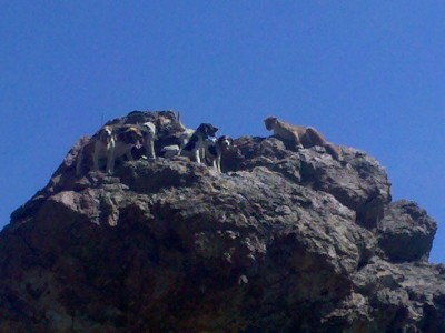 2010-06-21 09.56.07.jpg