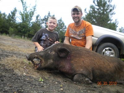 Texas hog, rigging rail on dog box 020 [50%].jpg