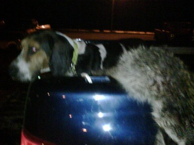 IMG00010-20100720-2243 (2).jpg