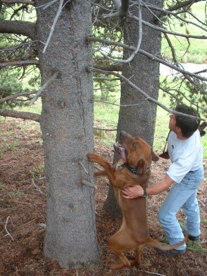 Charles and Ozzy.jpg
