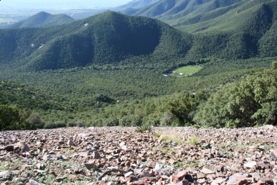 IMG_1467 [1600x1200].JPG