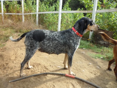 Trigger today (8/27) 3 days shy of 6 weeks.