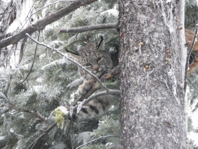 100_3013 [640x480].JPG