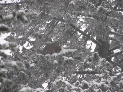 100_3009 [640x480].JPG