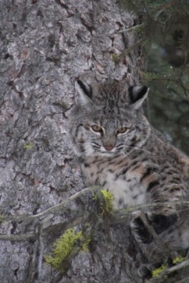 100_1327 [640x480].JPG