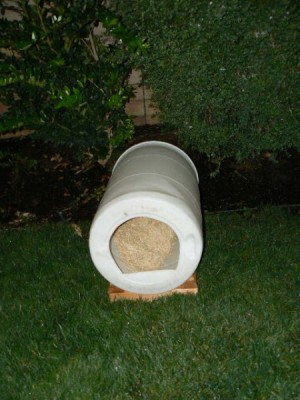 P1020042 (450 x 600).jpg