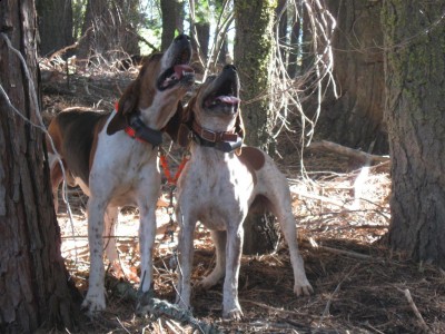 Copy of Picture 082.jpg