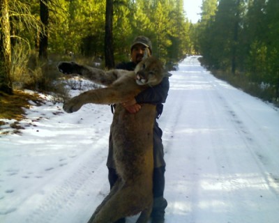 Cat from last season.