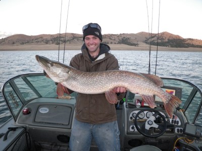 IMGP0107 [800x600].jpg