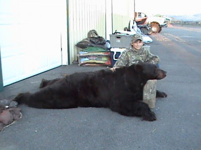 Big OR bear.