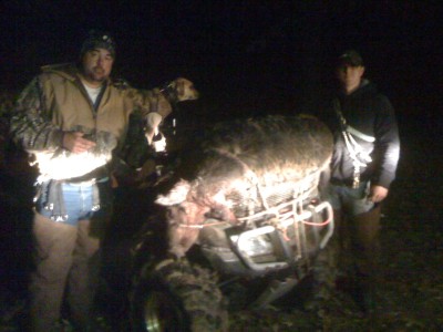 hogs and house 039.JPG