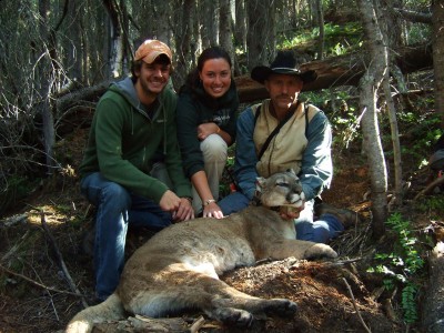 Cougar Project 2010.jpg