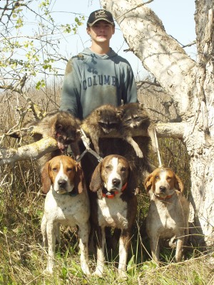 Raccoon Pics 006.JPG