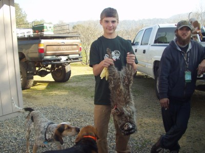 Racoon & Eliptical 003.JPG