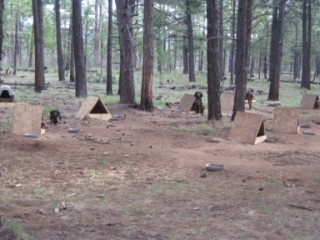 's bear and AZ camp 015 [320x200].jpg