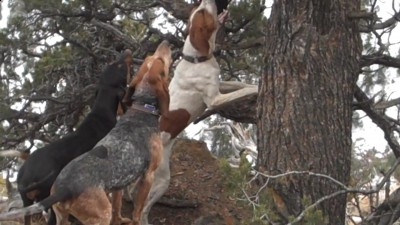 Video 31 00m 07s.jpg