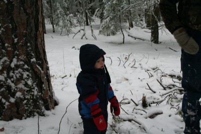 IMG_3679 [Desktop Resolution].JPG