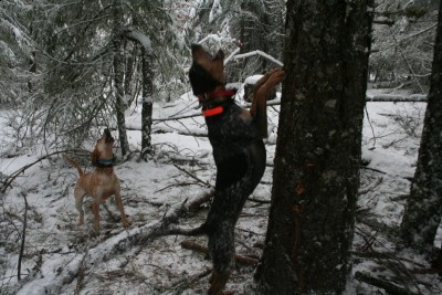 IMG_3702 [Desktop Resolution].JPG