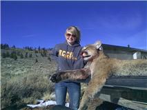 Mtn lion 2010 2.jpg
