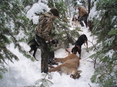 1st cat for nellie & odie.jpg