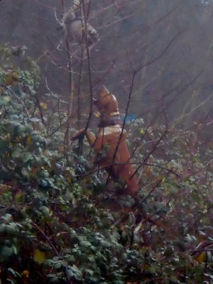 charlies coon (768x1024).jpg