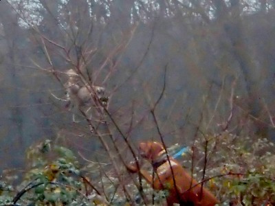 P1170171 (1024x768).jpg