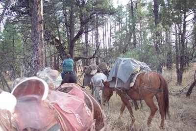 Gila deer hunt 2.JPG