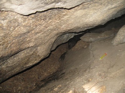 Copy of Picture 003.jpg