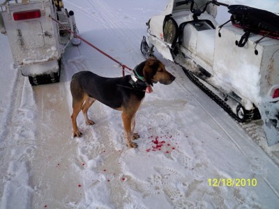 106_0242 [640x480].JPG