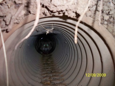 107_0161 [640x480].JPG