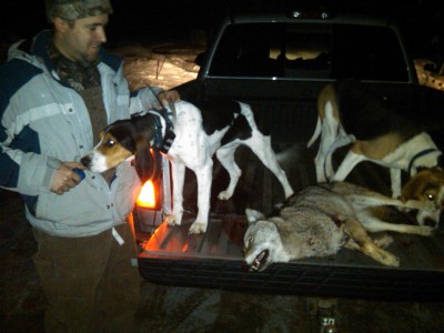 sorry It was so dark but you can see hes a nice looking yote