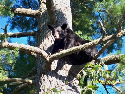 107_0192 [640x480].JPG