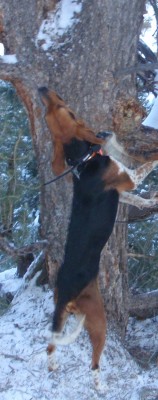 all pictures 004.jpg