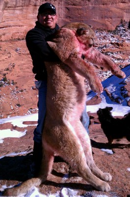 HTC Evo Pictures 1030.jpg