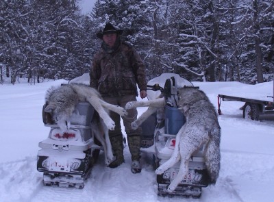 Feb.2011 Wolves.jpg