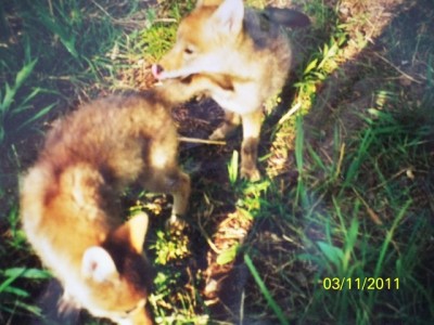 106_0271 [640x480].JPG