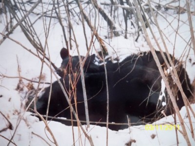 106_0274 [640x480].JPG